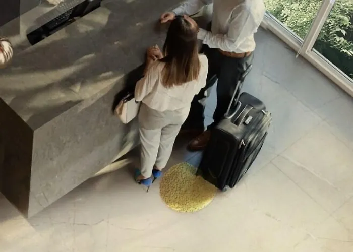 Ibis Styles Aeroport 3*